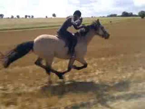 how to practice riding without a horse