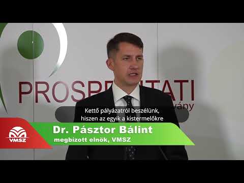 Dr. Pásztor Bálint: Két új pályázattal segítjük a vajdasági magyarok szülőföldön való boldogulását-cover