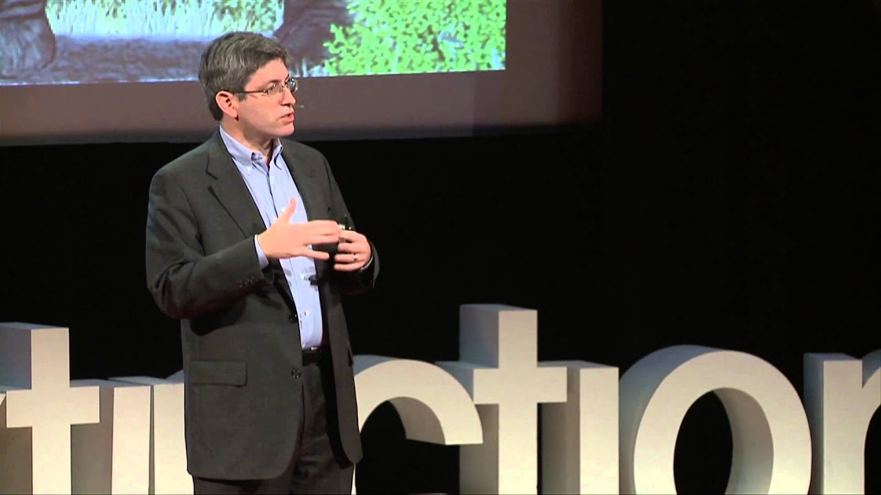 TEDx talk on “de-extinction”