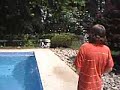Peeing Frenzy