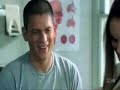 Sara/Michael: Hate how much I love you