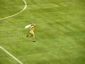 Big Match Streaker