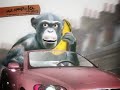 SUMO CALL TO COMMENT Chimp Cyriak Poptique