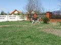 DSCF8556