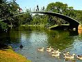 Parque do Ibirapuera Parque do Ibirapuera