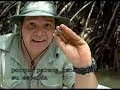 mangrove tour