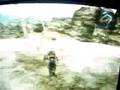 Final fantasy XII all licenses at the beginning