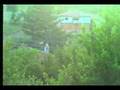 boyabat boyali köyü yayla boyabat57.com