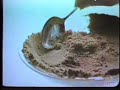 Jello\ Jello\