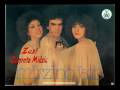 videos de Mirzino jato Apsolutno tvoj Zuzi Zumreta Zu & Mirza Alijagic & Gordana Ivandic Original