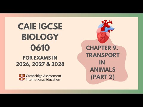 9. Transport in Animals (Part 2) (Cambridge IGCSE Biology 0610 for exams in 2023, 2024 and 2025)