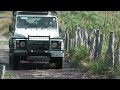Moremi Game Reserve Botswana 4x4 offroad .mpg