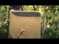 PSE X-force 6 Rage bh @ 40 yards