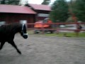 DSCN1263