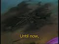 Pokemon Training Daze Campfire Scene-English Sub (Japanese)
