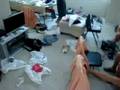 tour de apartma
