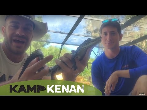 YouTube reptile video