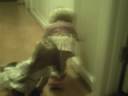 American Girl doll race (READ DESCRIPTION) American Girl doll race (READ DESCRIPTION)