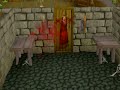 RuneScape - Flying #2