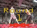 joel hartsell ufc fighting