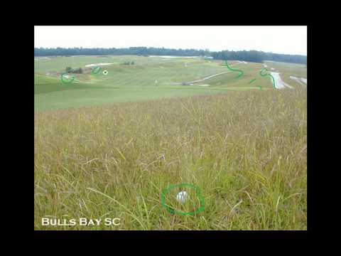 how to fertilize centipede grass