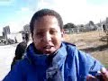 The Elmz Newz - Sarz