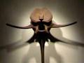 Sam Spiczka sculpture exhibition, 