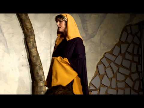 fleming troy sea of galilee -