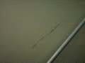 ~gs~ghost hunt on the rms queen mary