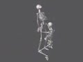 las calaveras