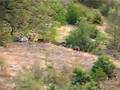 �evkiler K�y�nden Yaban Domuzu S�r�s� www sevkilerkoyu com