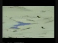 dragon ball z- never wanted to dance