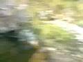 Cliff Jump At Burnsall