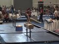 Jacob Dastrup Pommel VLI 2008 Jacob Dastrup Pommel VLI 2008