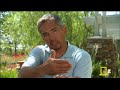 Dog Whisperer 24/26 : Fondue, Chip, Hope & JoyJoy