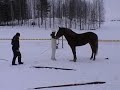 Vennerin Viivi ja Rinteen Toto