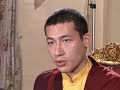  Karmapa sfi-usa.org Siddhartha Karma Kagyu 17th 16th Thrinley Thaye Dorje Shamar Buddhist dharma recognition spiritual