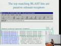 PhyloFacts: Integrating Evolutionary and Structural Analyses