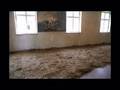 The Auschwitz Experience: Museum of Holocausts