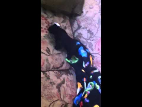 how to make a love potion ehow