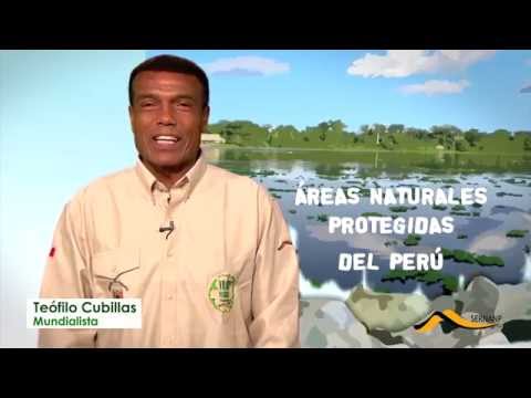Las áreas naturales tienen a sus 'hinchas de la conservación'