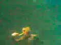 my chemical romance newcastle gerard speech 11/11/07