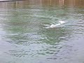 robbe 212 Freibad Werne 020208/4