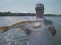 34\" Redfish