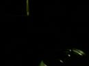  TR 505 Casio Roland synthpop synth unsigned 80s WCDB