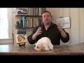 Ever dream of working with dogs? http://bit.ly/m9VCHp