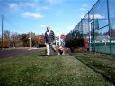 kids distracting pit bull