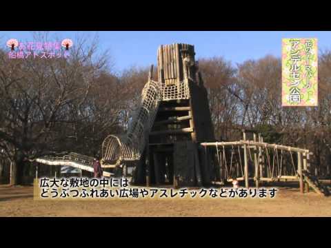 アドスポットお花見特集-アンデルセン公園-
