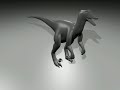 Velociraptor 3D
