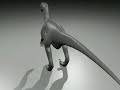 Velociraptor 3D